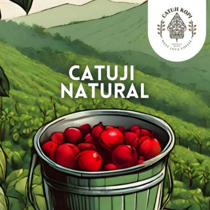 Catuji Kopi Estate Honey Rosted Bean – 500 gr